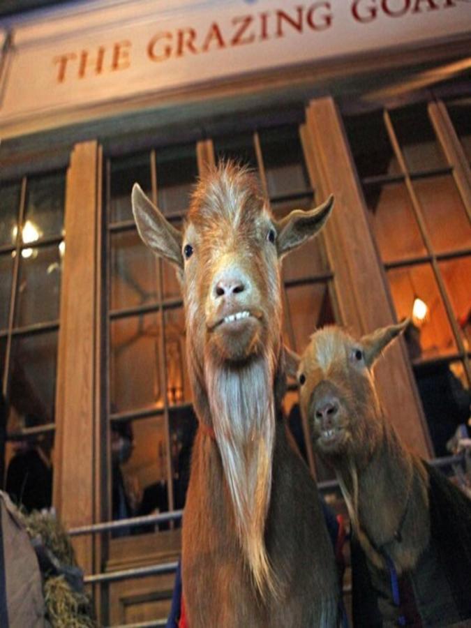 The Grazing Goat Hotel Лондон Екстериор снимка